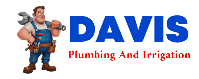 Trusted plumber in BAZINE